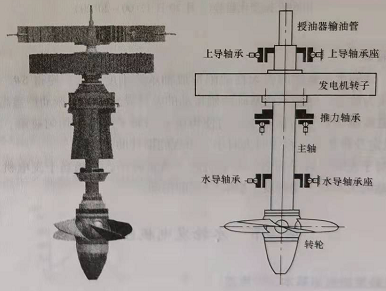 立式水輪發電機組軸系結構示意圖